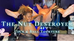 Temptress Mango is The Nut Destroyer - CBT