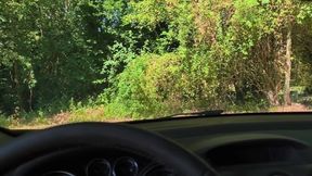 Masturbation in the car in nature