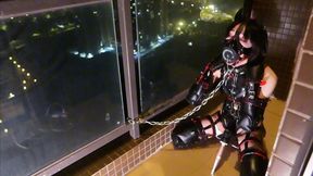 Femboy Puppy Balcony Training â€“ Steel Hook Gag, Max Vibrator Sleeve & Electro Plug Endurance Challenge!