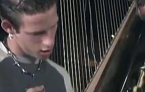 Black transsexual for two nasty poles