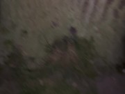 All day peeing compilation