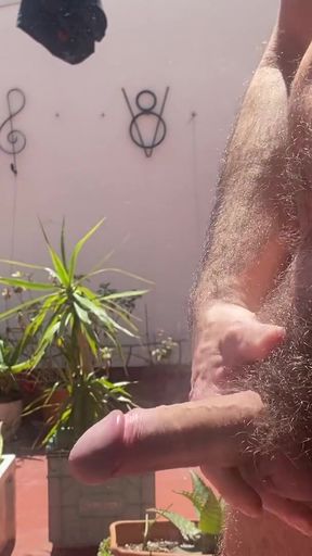 The window observes my naked silhouette under a complicit sun...   Clip 1