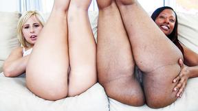 Black & White Asses Banged Hard