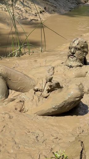 Stunning moment from &quot;MUD PIG IN HEAT&quot;