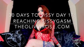 30 Days To Sissy Day 17: Reaching Sissygasm