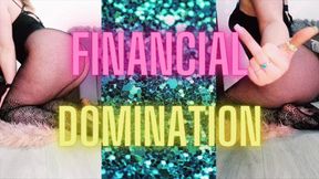 (40) FINANCIAL DOMINATION