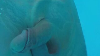 Heated Poolside Passion: Two Hot Guys Exploring Each Other