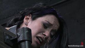 January Seraph and Sarah Jane Ceylon Live