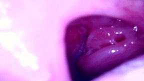 Teeny on Giantess Roller Coaster