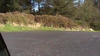Cath no skirt in public compilation.