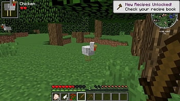 Minecraft play: Almost immortal chickens or why you need a wooden sword