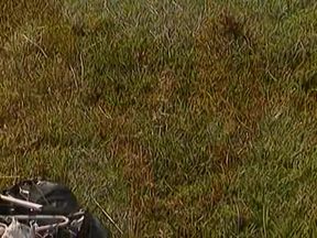 Sex 3: Sex After Seven