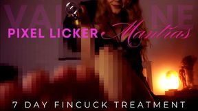 FINCUCK TREATMENT IV: PIXEL LICKER MANTRAS