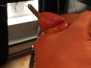 THE RODS ARE ALIVE TO THE SOUND OF MY WEENIE : THE MOVIE SCENE