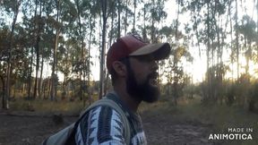 In the Woods