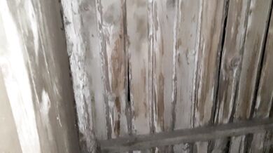 My neighbor licked my pussy in a public village toilet - Lesbian_illusion