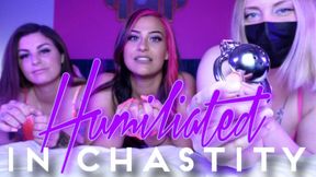 Humiliated In Chastity ft Goddess Mila &amp;amp;amp; Goddess Clue