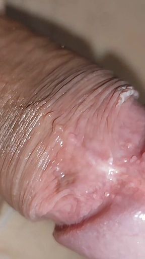 Curvilinear Pulsation of the Robust Cummed Limb
