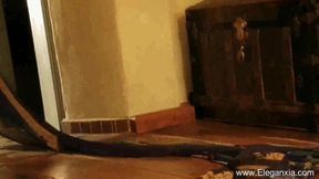 Sexy Indian shows off her perfect natural body