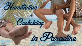 HUMILIATION & CUCKOLDING IN PARADISE (ITA Language)