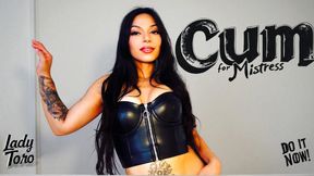 Cum For Mistress CEI