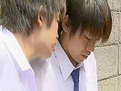 QCT786-PJNSUSNIDE995800735