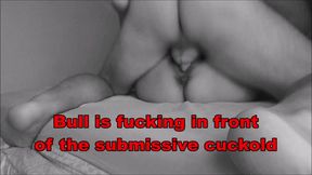 Femdom mistress humiliates slave cuckold with bull