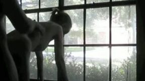 Fucking my wife's cunt from behind in front of a window
