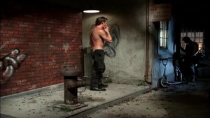 Hot House: Cocks Rise with the Temperature