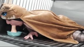 Angeluka  is having fun in her cage 2023