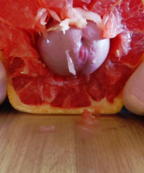 Close up creampie for a Grapefruit