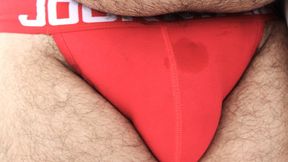 Urso brasileiro famoso capturado (SET 2)