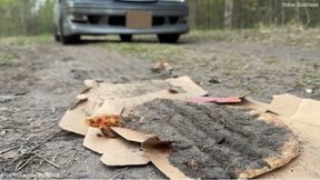 Crushing two pizzas and some bread under My car's wheels