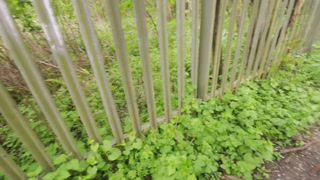 Real Life Asian Succubus Enjoys Her New Prey