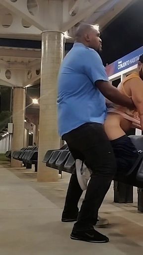 Bus Driver Picking up Passenger at Stop Video 2