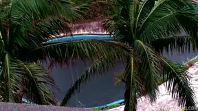 Sultry Erika Kitagawa Gives A Blowjob And Tit Fuck Outdoors