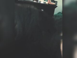 That guy has to accept that babe's OUR Girlfriend now