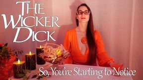 So, You're Starting to Notice (4K) - Obey Lady Ashley - The Wicker Dick - FemDom Upskirt Crossed Legs Fetish