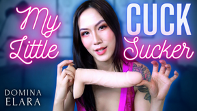 My Little Cuck Sucker