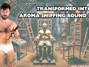 Transformed into a aroma sniffing bound pig