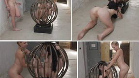 Our new round cage - wmv 1080p