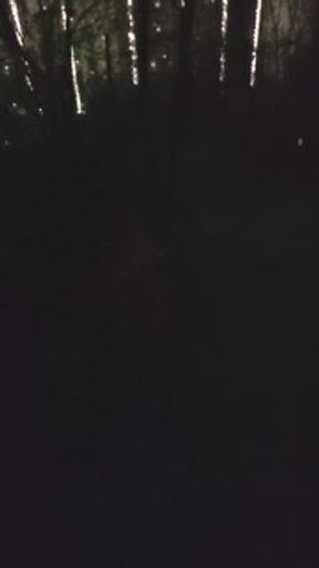 №8 Honey, I'll go take out the trash. 5 minutes and I'll be home =*