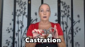 Castration Experience the Process HD (MP4)