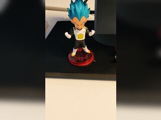 spnnaissh Original