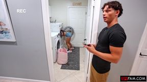 Spin Cycle Step Siblings