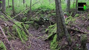 Gray Day Hiking