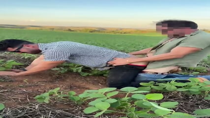 Foda ao ar livre na plantao do patro