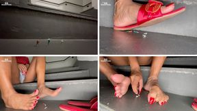 Finding tiny ones on the building stairs (MP4-HD 1080p)