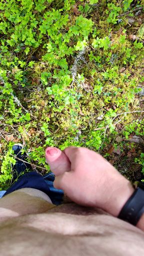 Horny in Forest