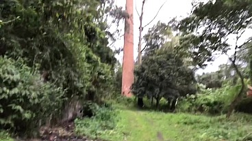 chupando rola no meio do mato pela primeira vez amador